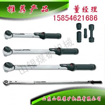 点击查看详细信息<br>标题：显示扭力扳手 阅读次数：1543