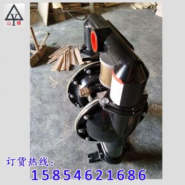 点击查看详细信息<br>标题：气动隔膜泵著名品牌-气动隔膜泵厂家 阅读次数：1820