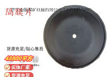 点击查看详细信息<br>标题：气动隔膜泵配件-隔膜片 阅读次数：143